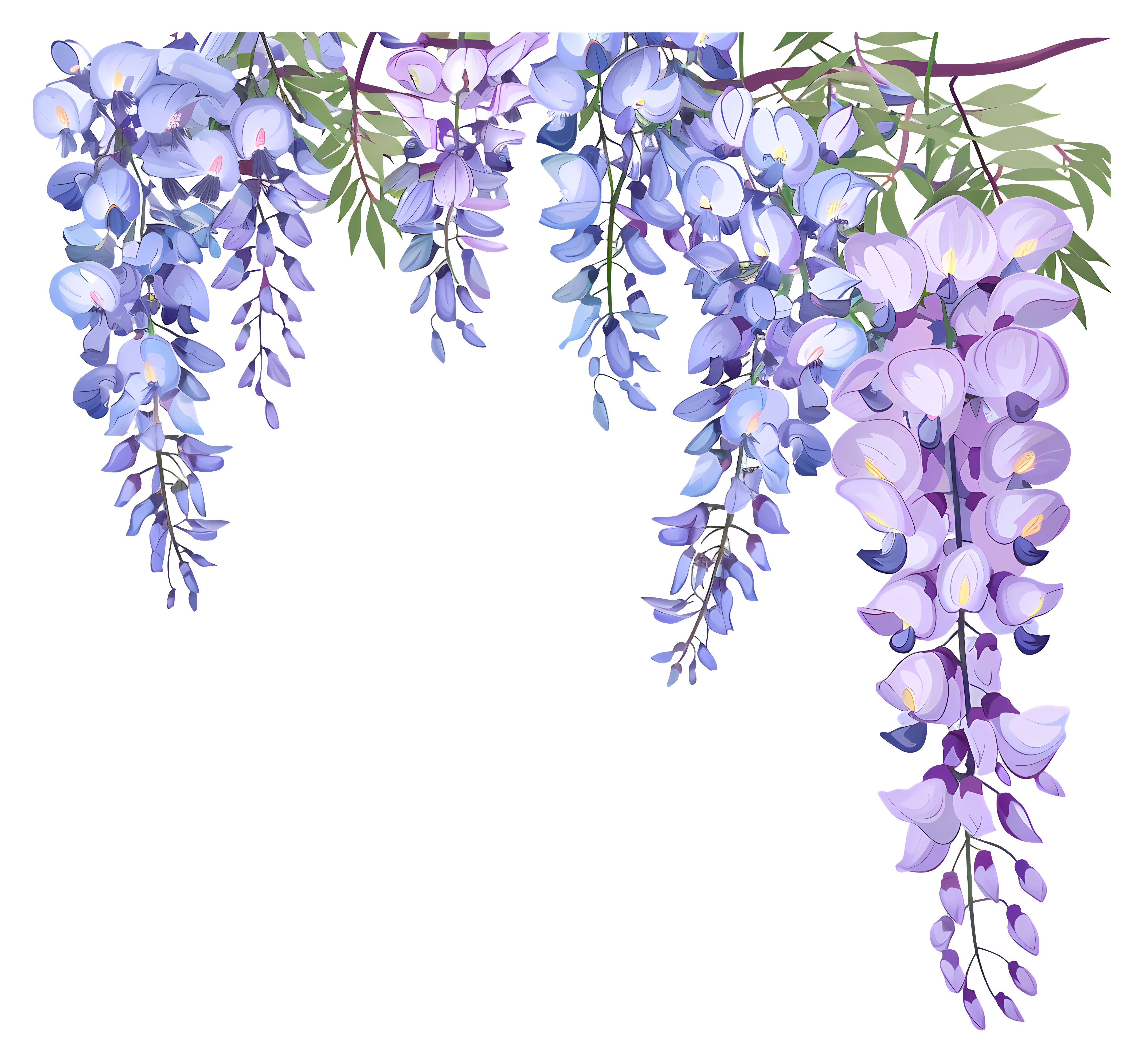 Wisteria Banner